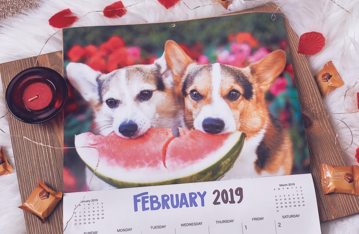 February 2019 Wrap-Up