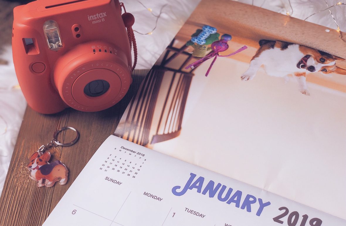 January 2019 Wrap-Up