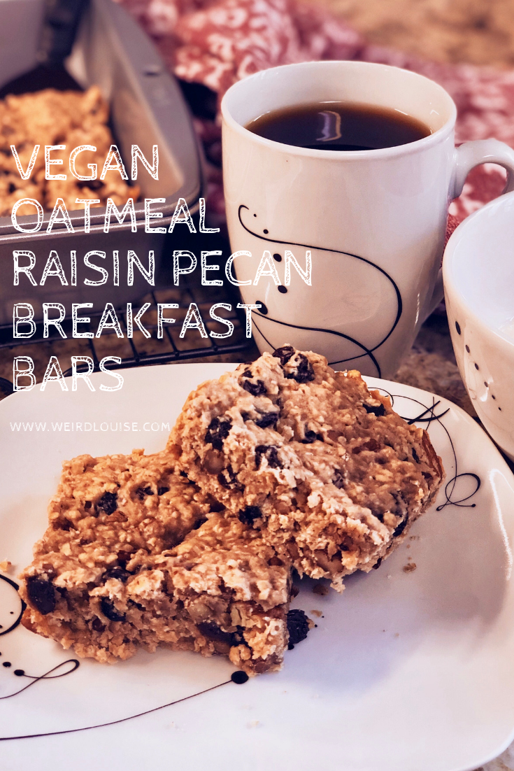 Vegan Oatmeal Raisin Pecan Breakfast Bars Pin