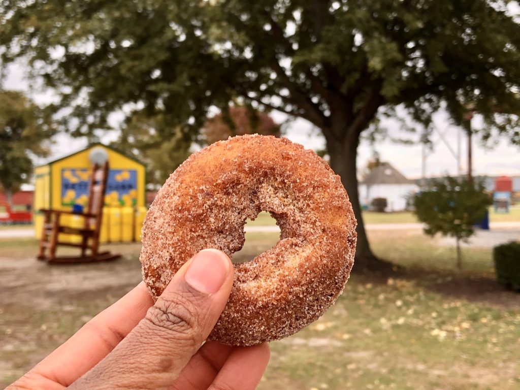 October Recap-Pumpkin Patch