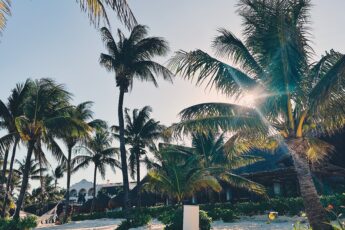 Solo Travel at Excellence Riviera Cancun