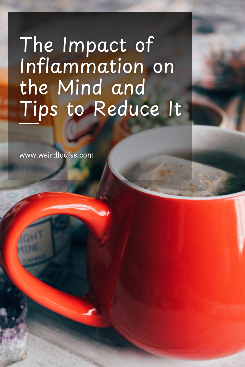 The Impact of Inflammation on the Mind and Tips to Reduce It Pin
