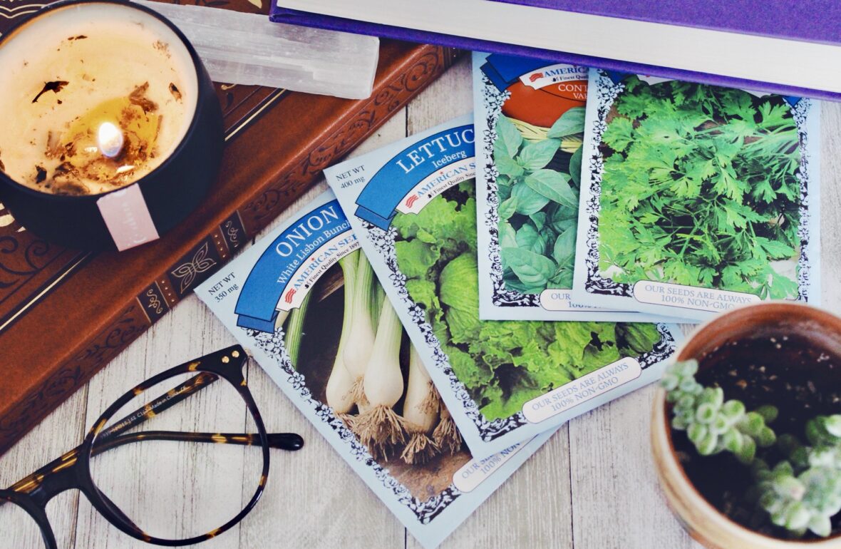 The Best Ways to Unplug and Recharge in a Digital World