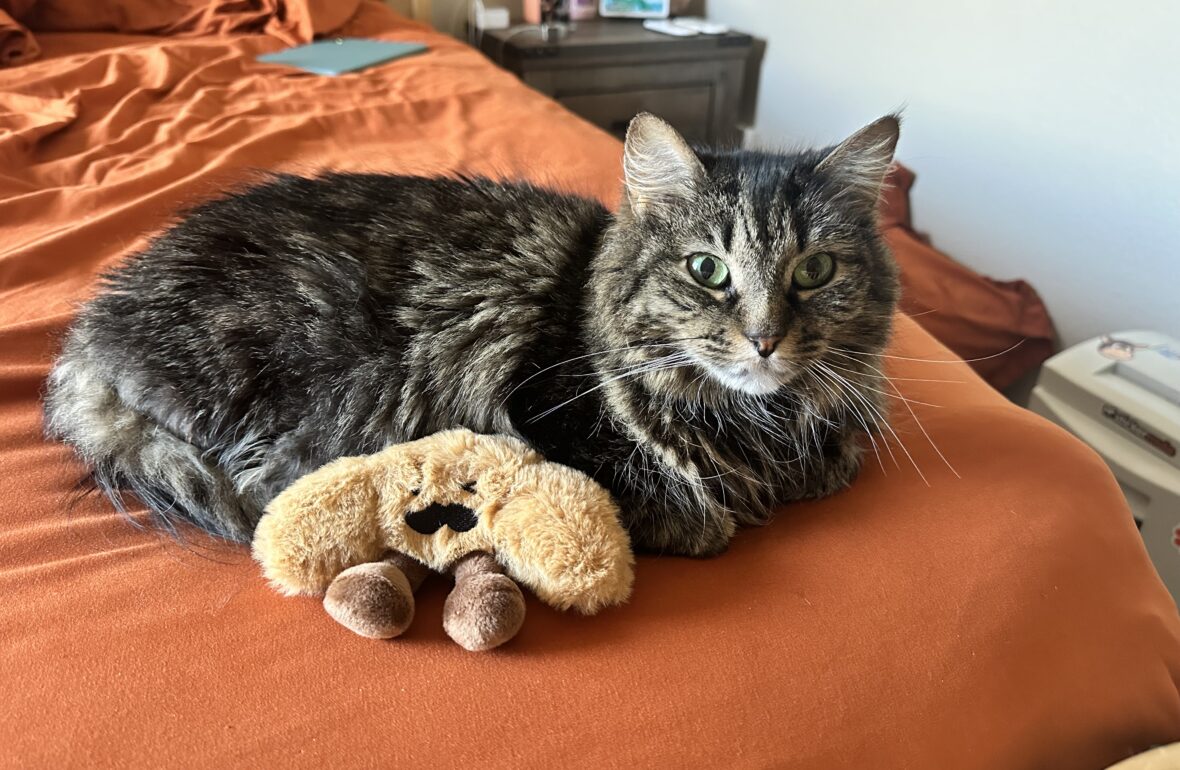 Saying Goodbye to Georgia