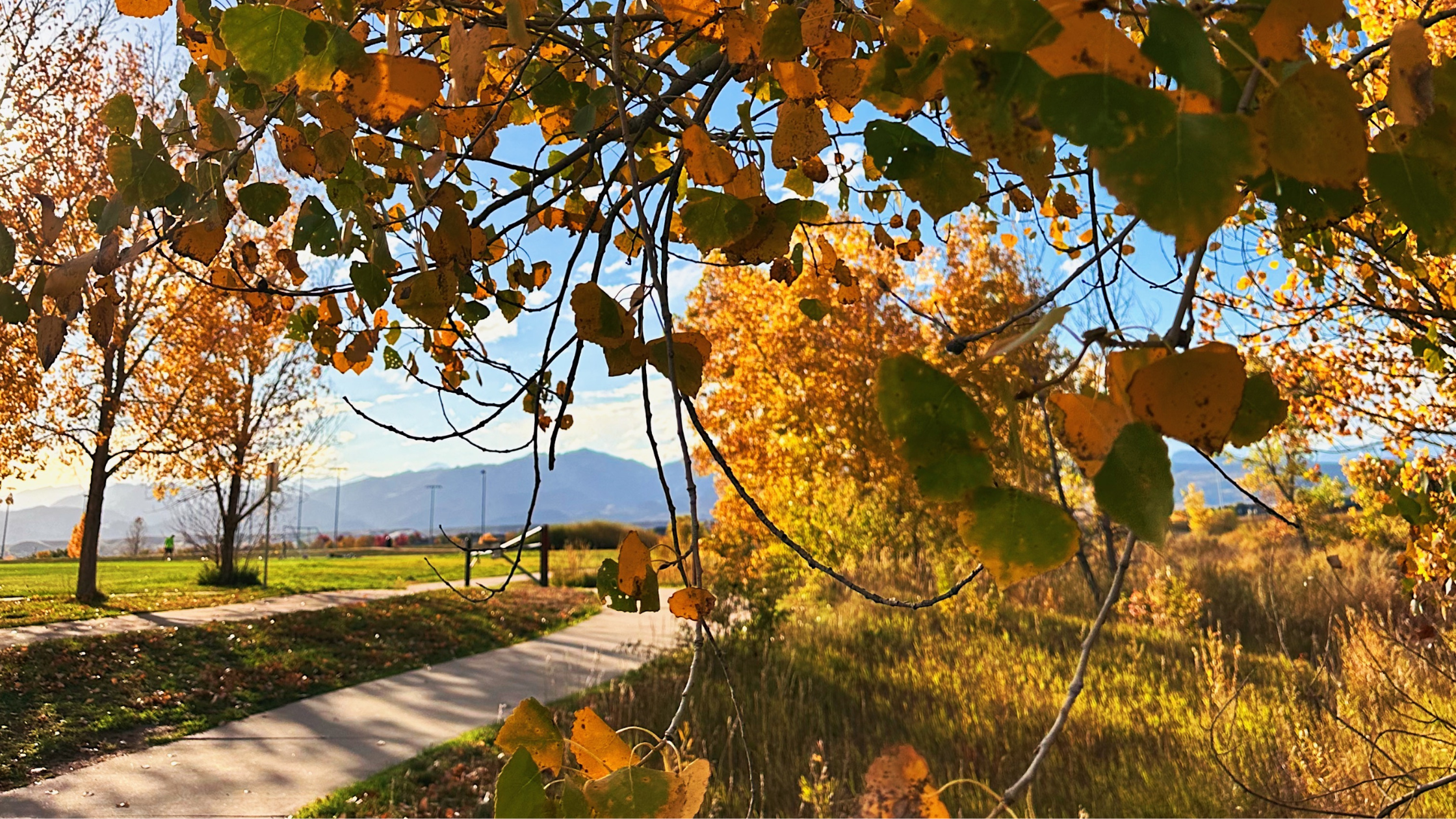 October ‘25 Monthly Wrap-Up